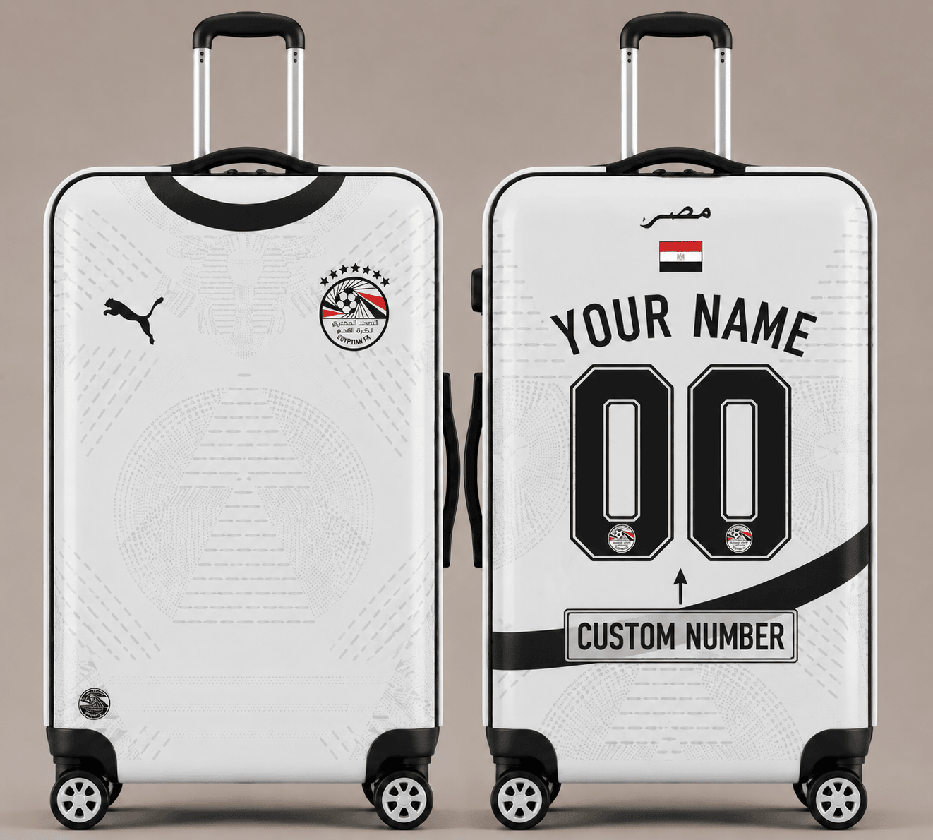 Egypt WC 26 Luggage Cover HN01