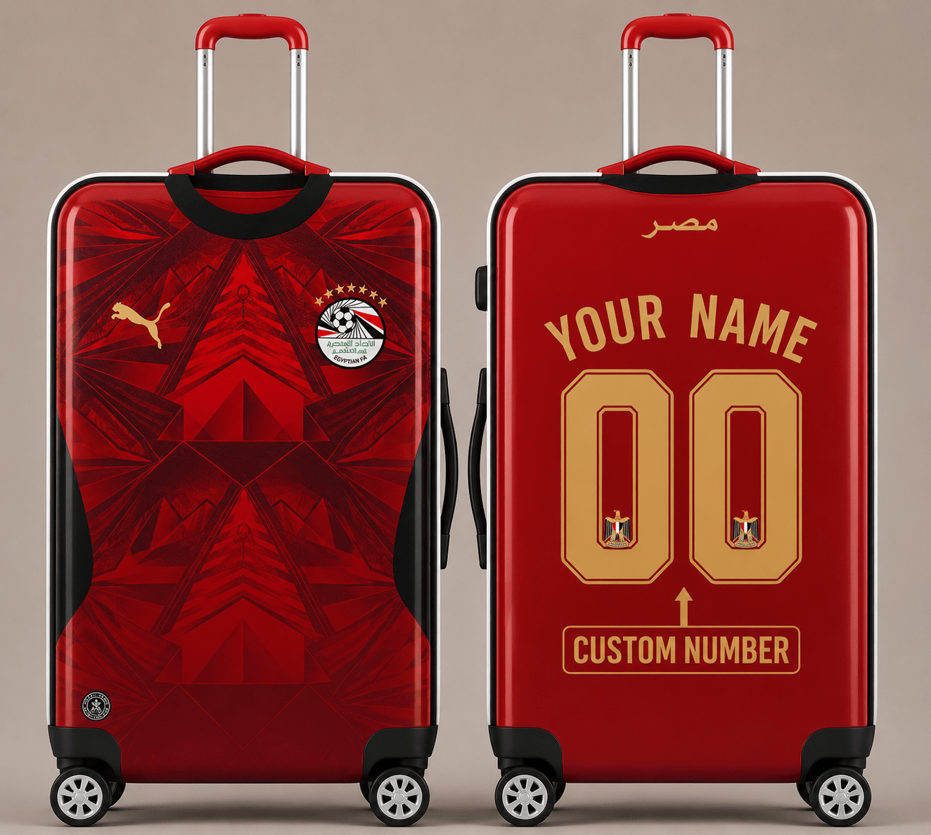 Egypt WC 26 Luggage Cover HN01